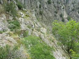 Col de Capronale