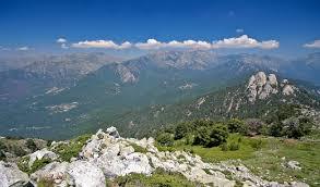 de Monte Cervellu
