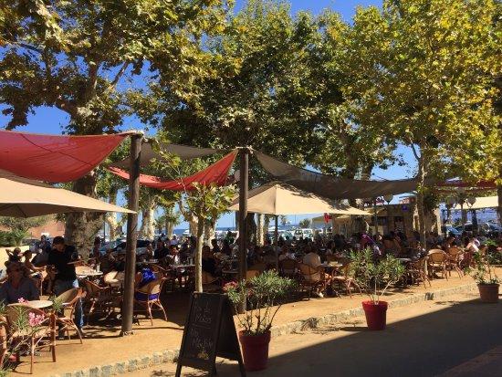 Cafe des Platanes