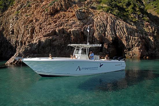 Alpana Excursions en Mer Day Tours