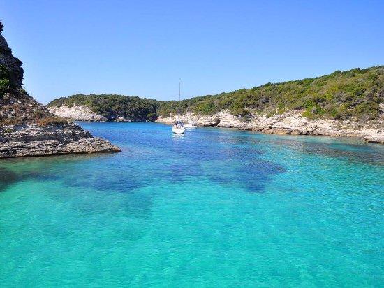 La Mediterranee