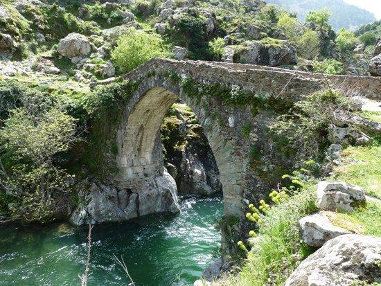 Gorges de l'Asco