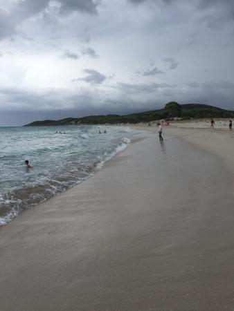 Corse Loisirs - Day Tours