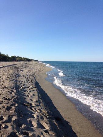 Plage de Bravone
