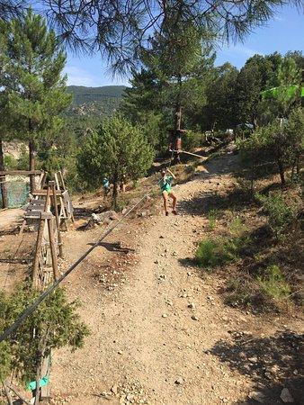 Forest Parc