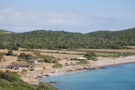 Tamarone