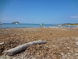 Playa de Barcaggio