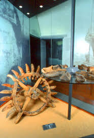 Citadelle de Corte