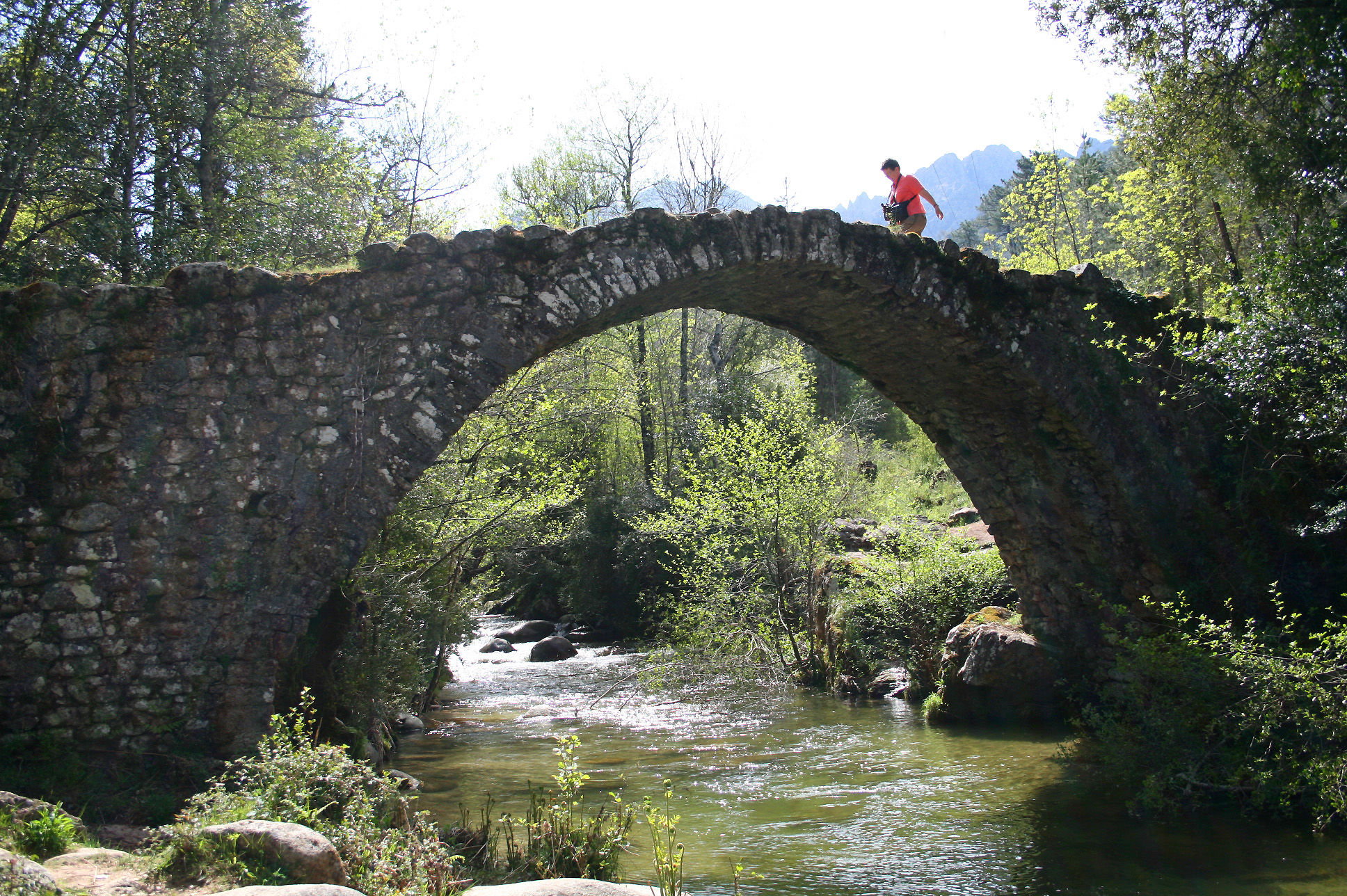 pont de Zippitoli