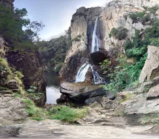 Piscia di Gallo